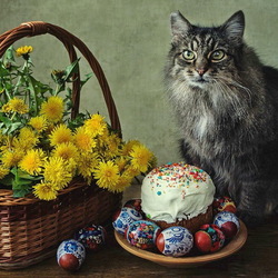 Jigsaw puzzle: Easter cat