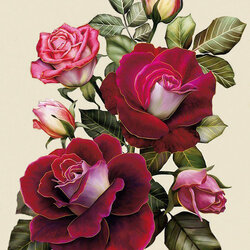 Jigsaw puzzle: Red roses