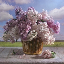Jigsaw puzzle: Basket with lilacs