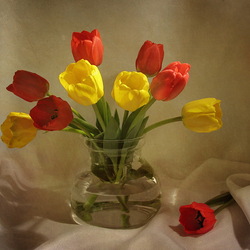 Jigsaw puzzle: Bouquet of tulips