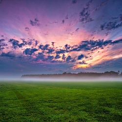 Jigsaw puzzle: Field in the fog