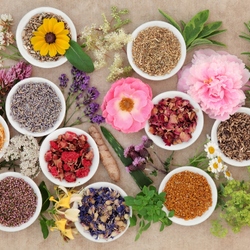 Jigsaw puzzle: Phytotherapy
