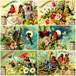 Jigsaw puzzle: From the life of birds