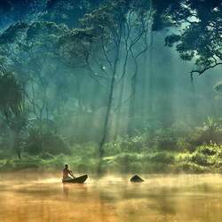Jigsaw puzzle: The beauty of the Amazon
