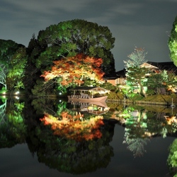 Jigsaw puzzle: Gardens of Japan