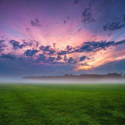 Jigsaw puzzle: Fog over the field