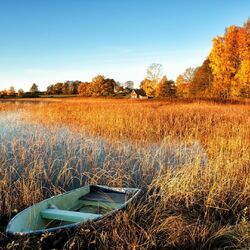 Jigsaw puzzle: Boat in sedge