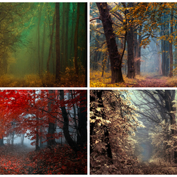 Jigsaw puzzle: Colored mists
