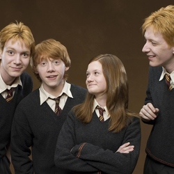 Jigsaw puzzle: Weasley family