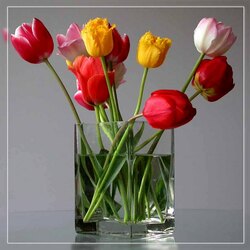 Jigsaw puzzle: Tulips in a vase