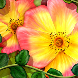 Jigsaw puzzle: Bright flowers