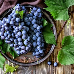 Jigsaw puzzle: Bunches of grapes