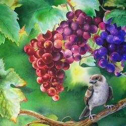 Jigsaw puzzle: In the thickets of the vineyard