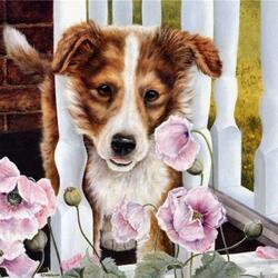 Jigsaw puzzle: Curious puppy