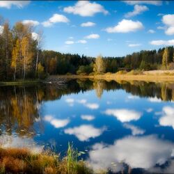 Jigsaw puzzle: Nature of Karelia
