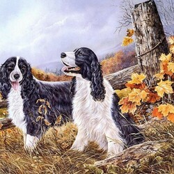 Jigsaw puzzle: Two spaniels