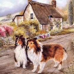 Jigsaw puzzle: Two collies