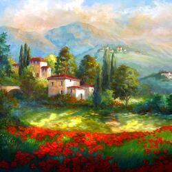 Jigsaw puzzle: Village with a poppy field