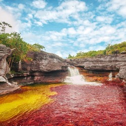 Jigsaw puzzle: The rainbow river Caño Cristales