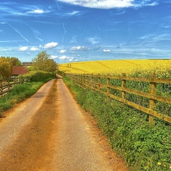 Jigsaw puzzle: Road to the village