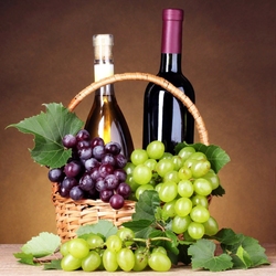 Jigsaw puzzle: Wine and grapes