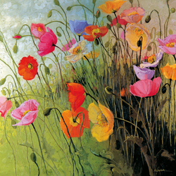 Jigsaw puzzle: Delicate poppies