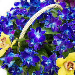 Jigsaw puzzle: Orchid basket