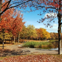 Jigsaw puzzle: Autumn park with a lake