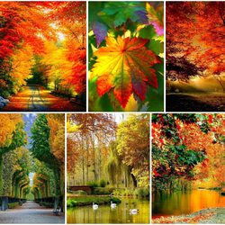 Jigsaw puzzle: The most beautiful time of the year