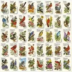 Jigsaw puzzle: Birds of America