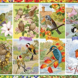Jigsaw puzzle: Bird calendar