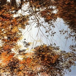 Jigsaw puzzle: Reflection of autumn