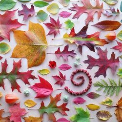 Jigsaw puzzle: Autumn inspiration