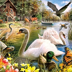Jigsaw puzzle: Lovely swans