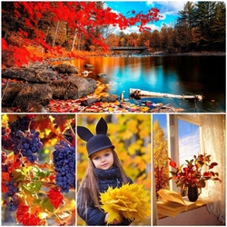 Jigsaw puzzle: Colorful autumn