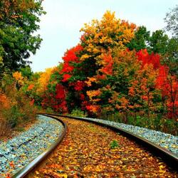 Jigsaw puzzle: Autumn on the way