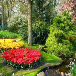 Jigsaw puzzle: In the park of Holland
