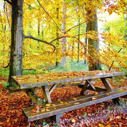 Jigsaw puzzle: Picnic table