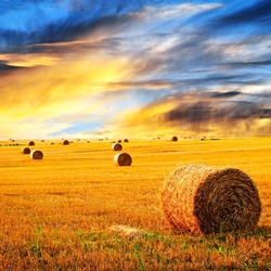 Jigsaw puzzle: Haymaking