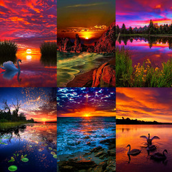 Jigsaw puzzle: Colorful sunsets