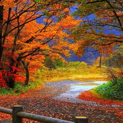 Jigsaw puzzle: Autumn path