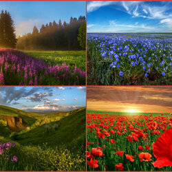 Jigsaw puzzle: Landscapes of Russia