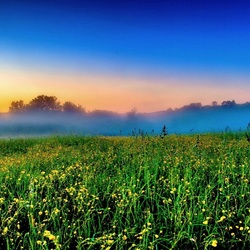 Jigsaw puzzle: Morning fog