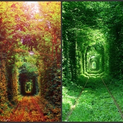 Jigsaw puzzle: Tunnel of love