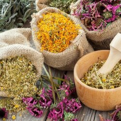 Jigsaw puzzle: Herbs