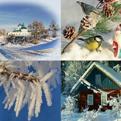 Jigsaw puzzle: Winter scenes