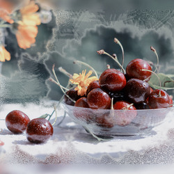 Jigsaw puzzle: Frost and berries