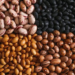 Jigsaw puzzle: Beans