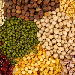 Jigsaw puzzle: Beans