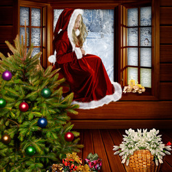 Jigsaw puzzle: Waiting for christmas